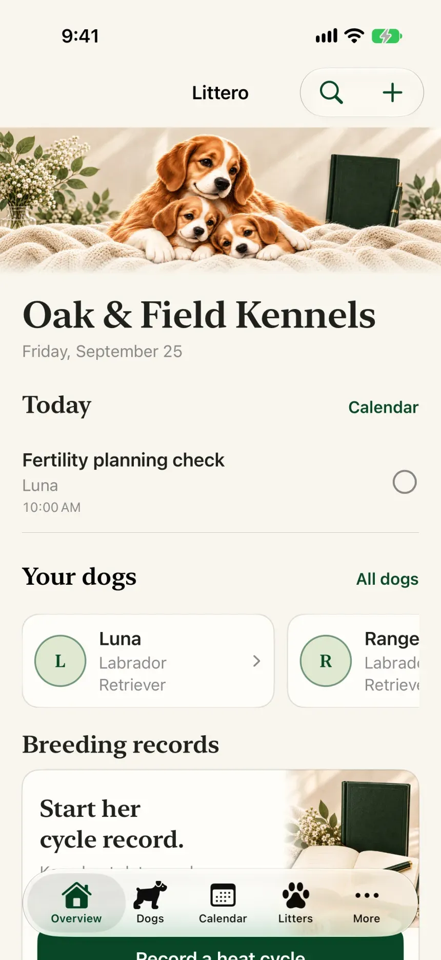 Littero: Kennel screen
