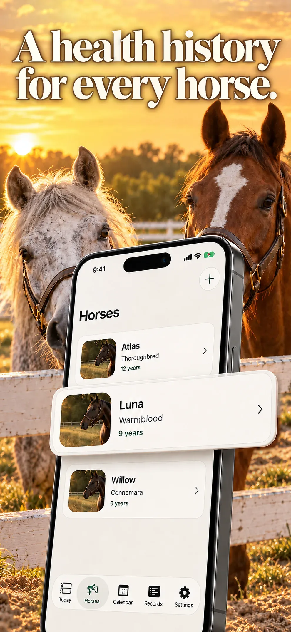 Una storia sanitaria per ogni cavallo. Scheda con razza, età e dati clinici.