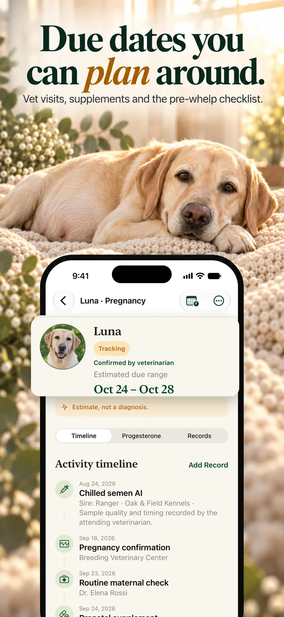 Due dates you can plan around. Vet visits, supplements and the pre-whelp checklist.