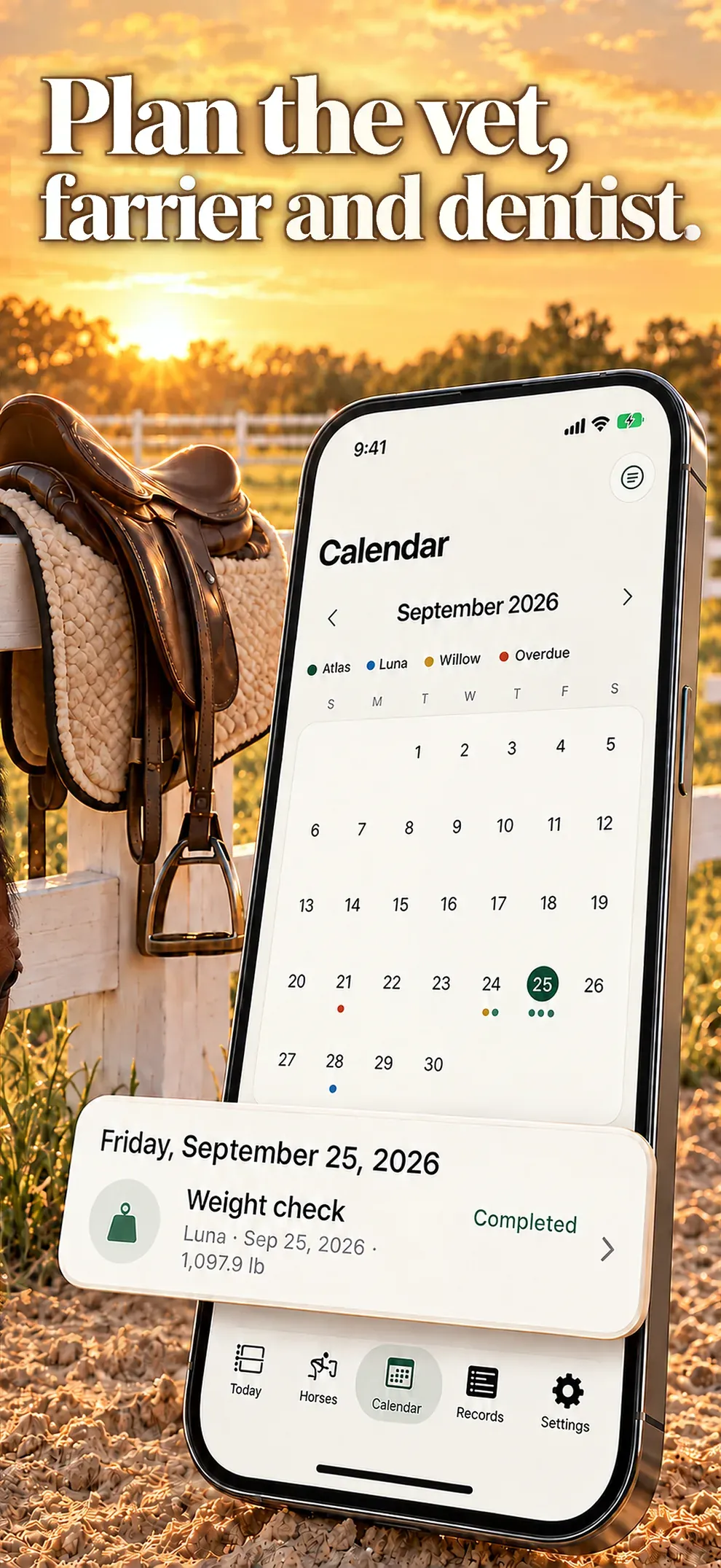 Pianifica veterinario, maniscalco e dentista. Un solo calendario con le cure di tutti i cavalli.