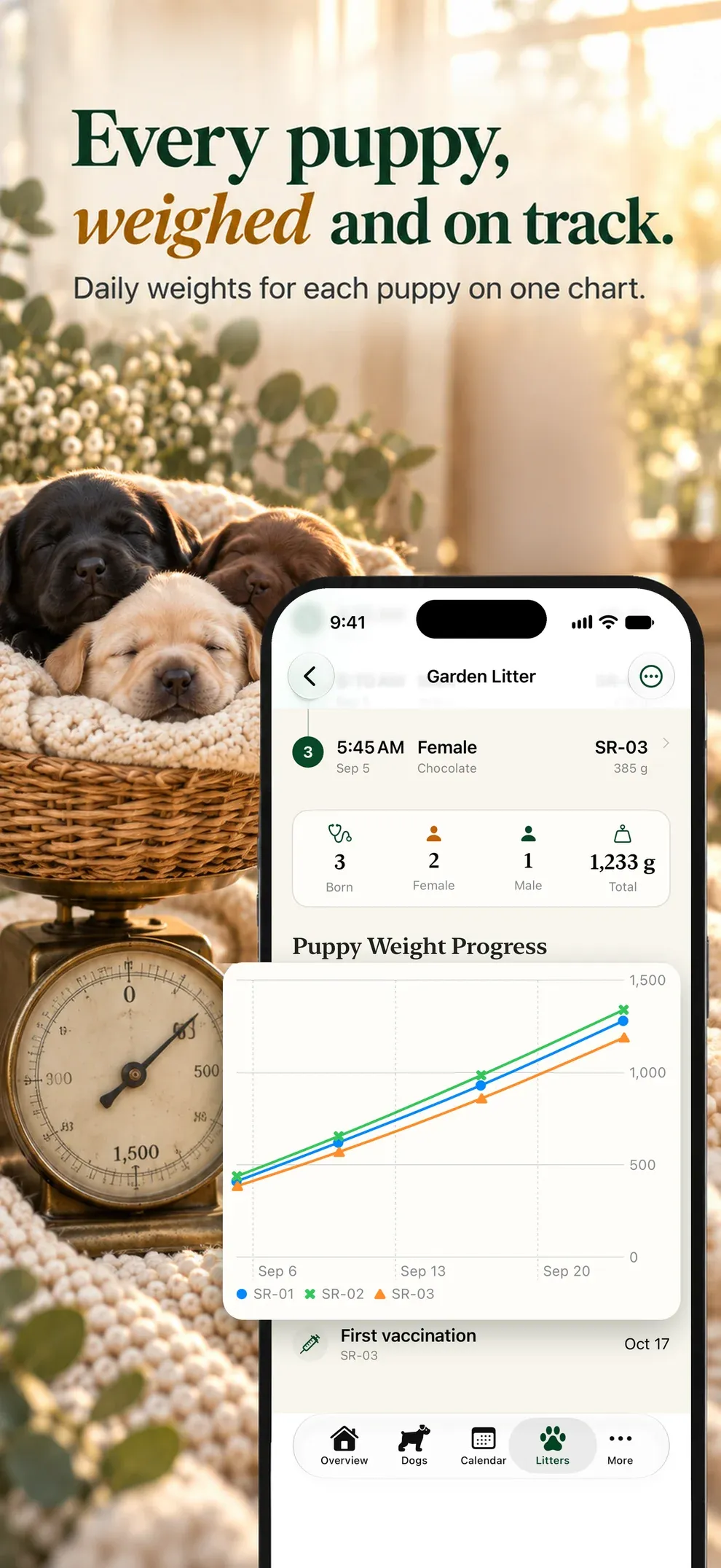 Every puppy, weighed and on track. Daily weights for each puppy on one chart.