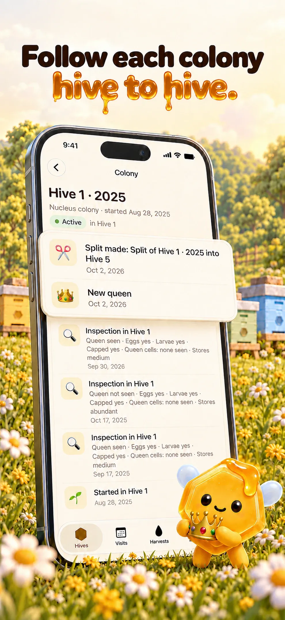 Follow each colony hive to hive. A colony’s timeline with a new queen and a split.