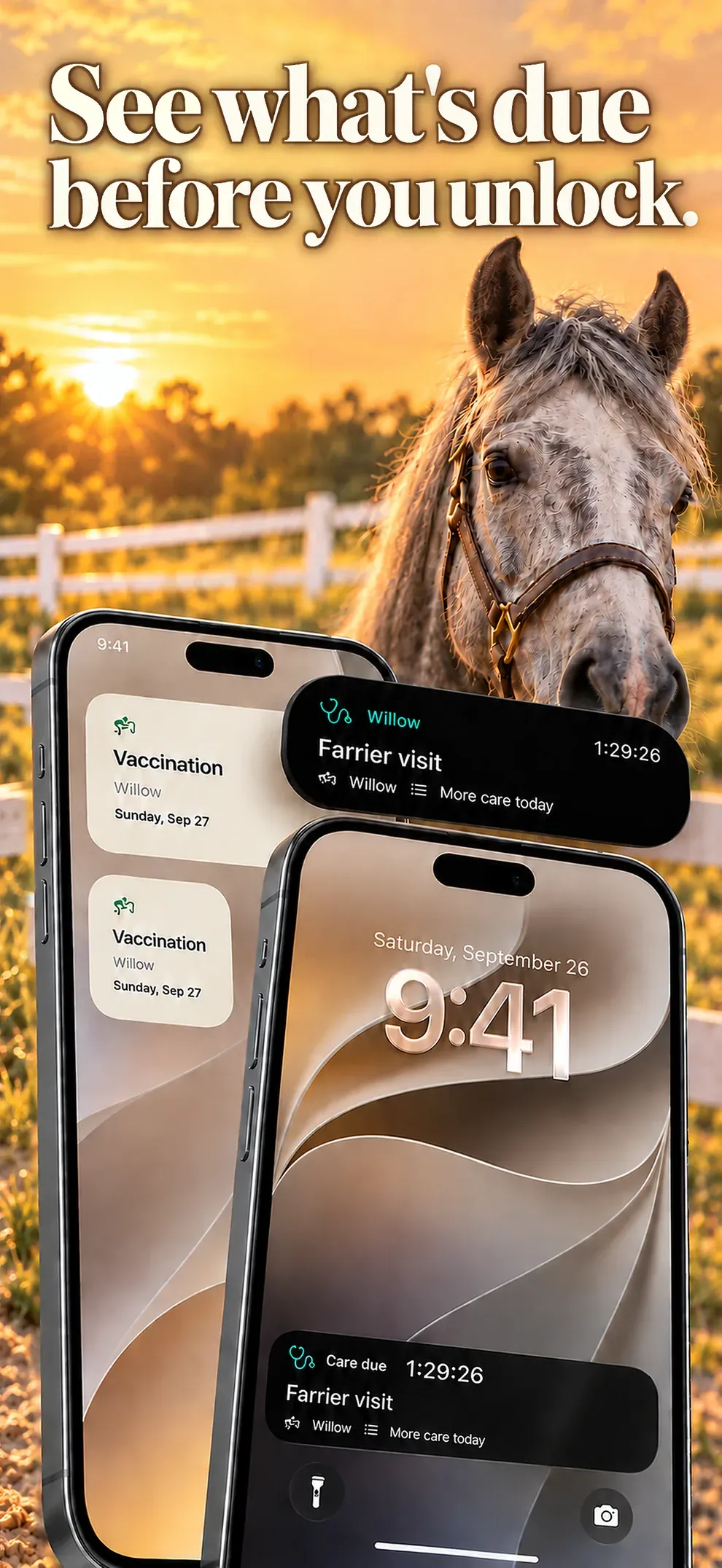 Scopri le cure in scadenza prima di sbloccare il telefono. Widget sulla schermata Home e prossima attività sulla schermata di blocco.
