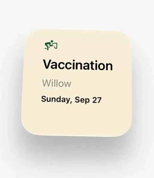 Trotley widget: Next care